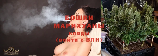 первитин Павловск